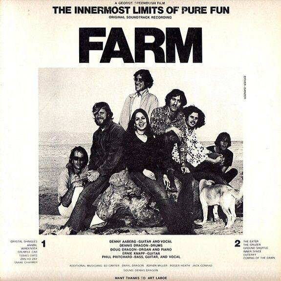 - The Innermost Limits Of Pure Fun (LPs & 12" - ) |