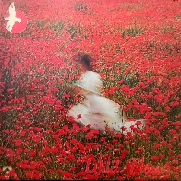 Cecil Wary & Alan Feanch - Flash Resonance: Wild Flower (LP - ) | Charles Talar Records