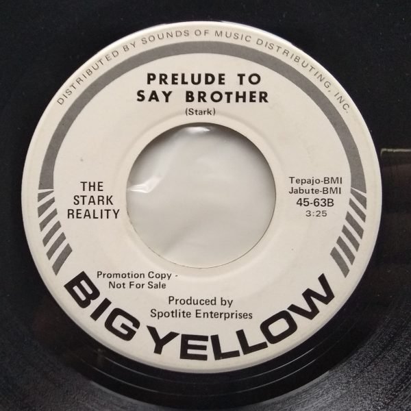 Stark Reality - Say Brother (Singles - ) | Big Yellow