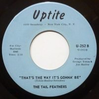The Tail Feathers - Now Ain’t That Love (Singles - ) | Uptite